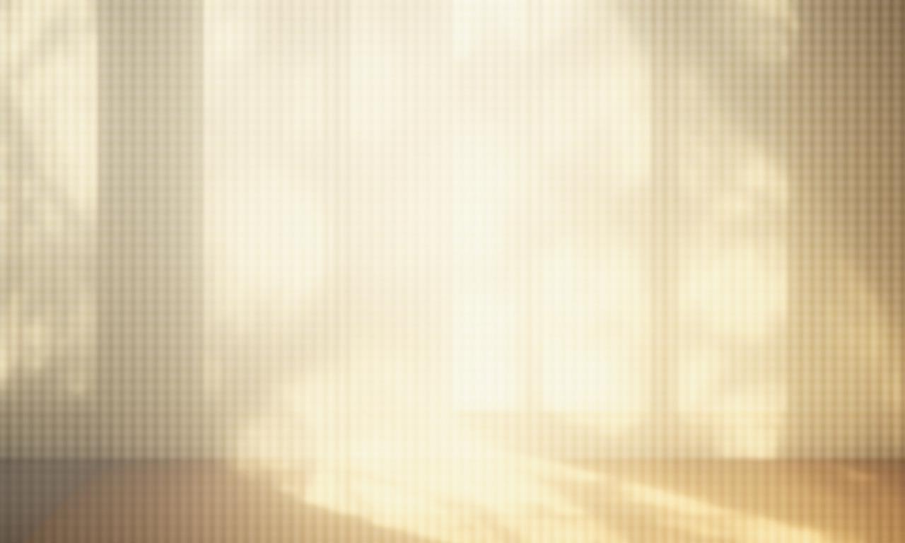 障子から差し込む光の抽象的な描写